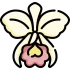 orquidea